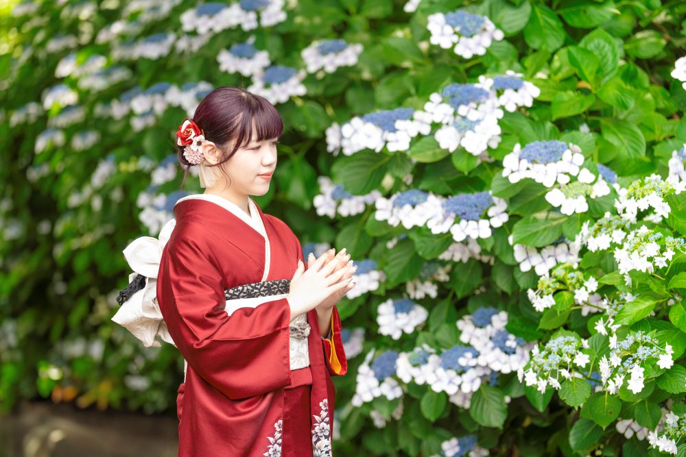 前撮り　紫陽花　振袖